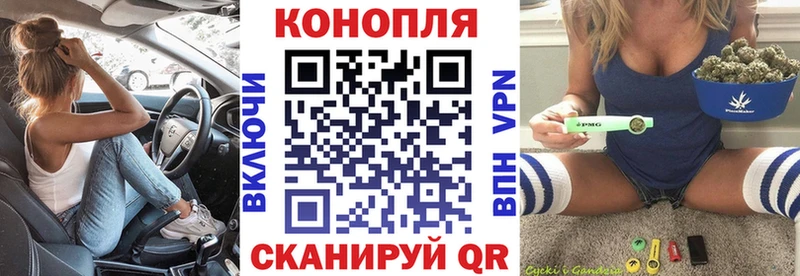 Бошки марихуана семена Грозный